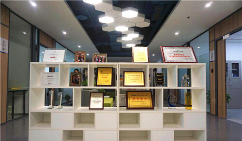 美林数据荣誉奖章