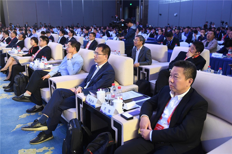 美林数据总裁王璐