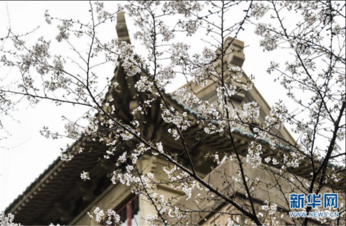 “疫”考后半场，“新基建”成为新焦点