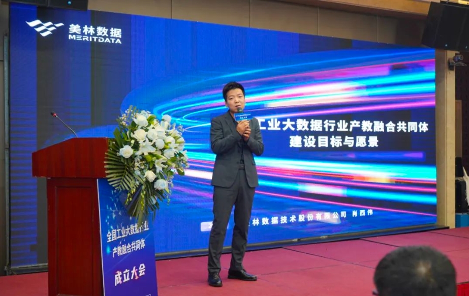 美林数据 肖西伟